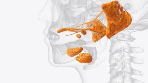 武蔵中原の歯医者、中林デンタルケアークリニックで唾液がねばつく原因と対策を解説